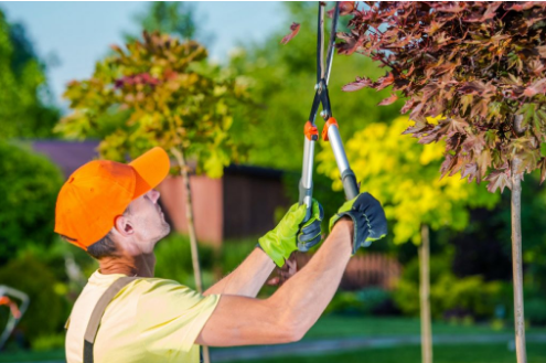 Landscaping Blossom Image