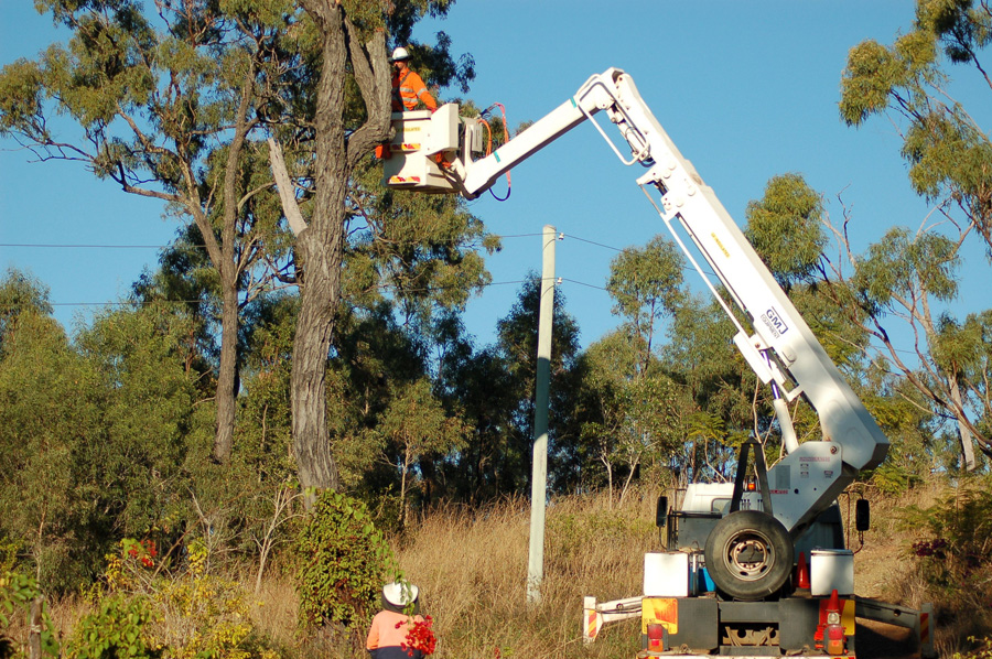 MOB Tree Service Image