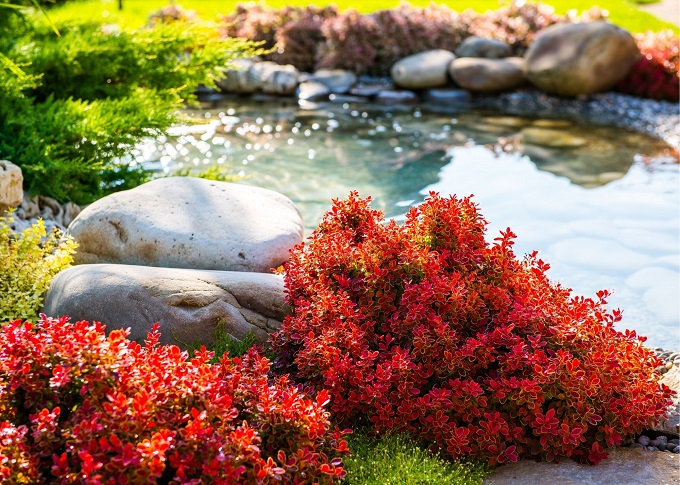 Midland Landscaping Pros Image
