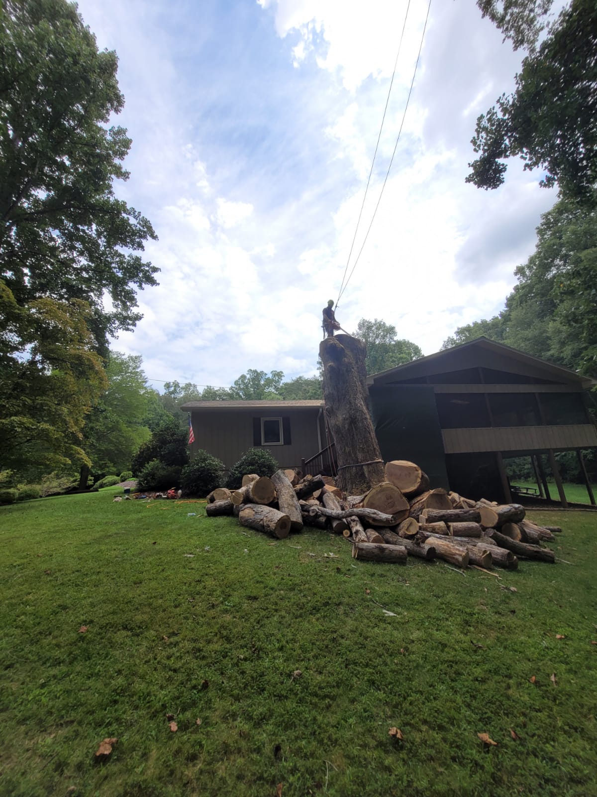 Shaddai Tree Services Image