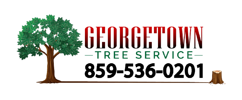 Georgetown Tree And Stump Service Logo