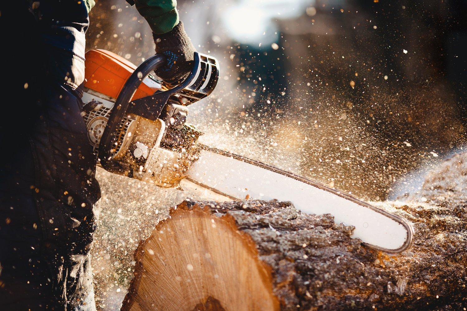 ADM Tree Services & Landscaping Image