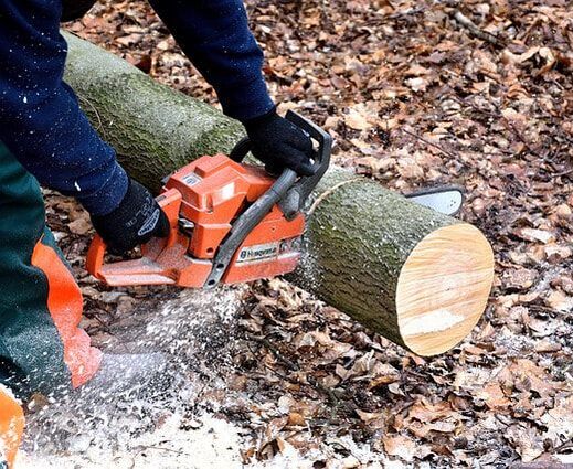 Wheaton Tree Removal Image
