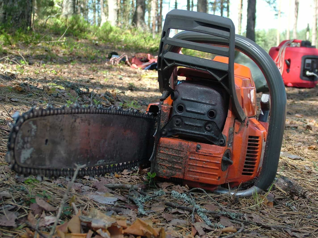 Wheaton Tree Removal Image