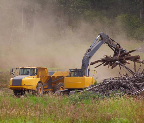 Lexington Tree Cutting & Trimming Services Image