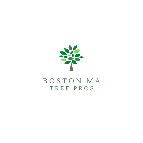 Boston MA Tree Pros Logo