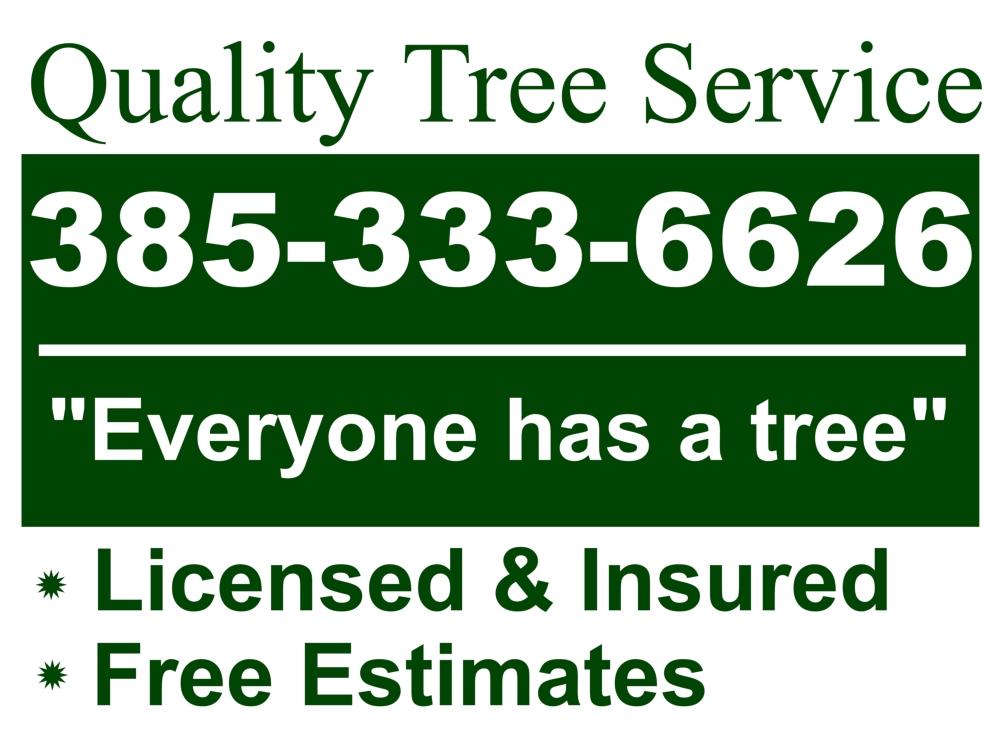 Weber Davis Tree Service Logo