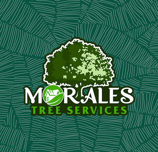 Morales Tree Service Logo