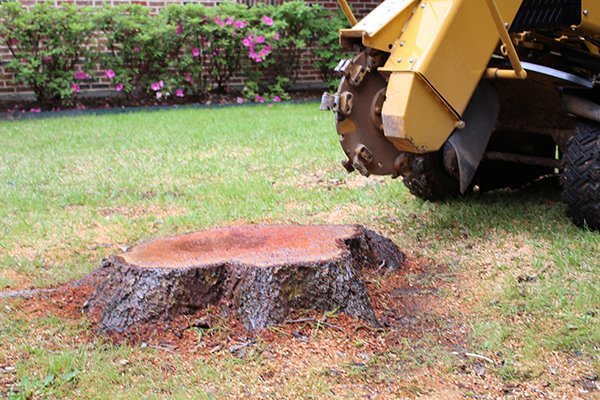 Richardson Tree Service Image