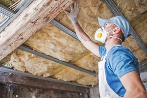 Tampa Insulation Removal Image