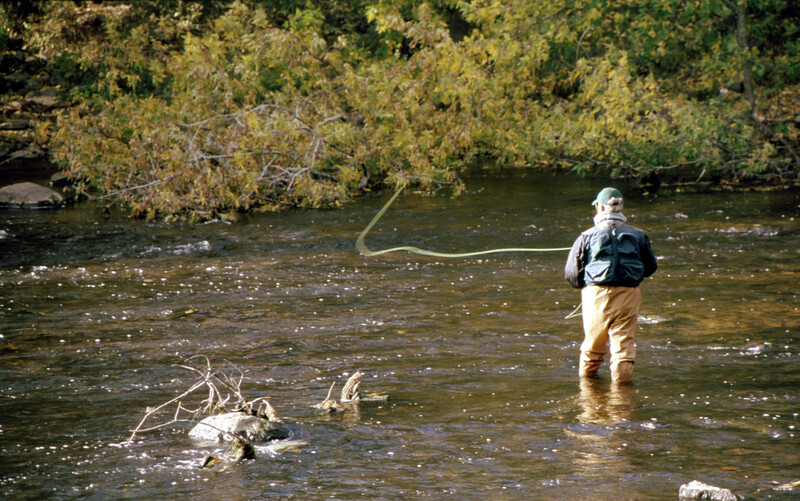 Trout USA - voted best trout fishing in the east coast