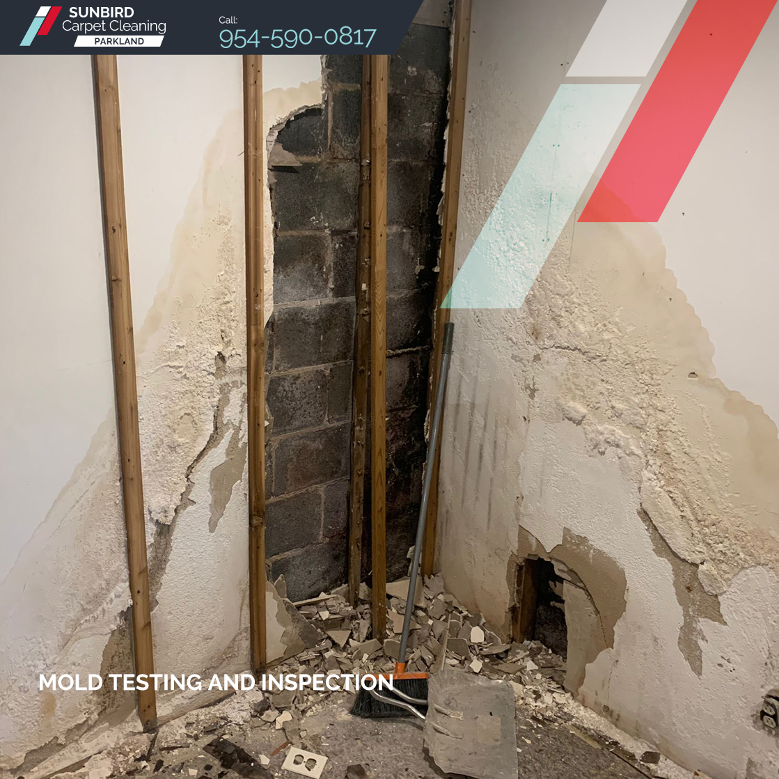 Sunbird Carpet Cleaning Parkland Image