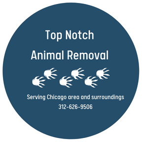Top Notch Wildlife Removal Logo