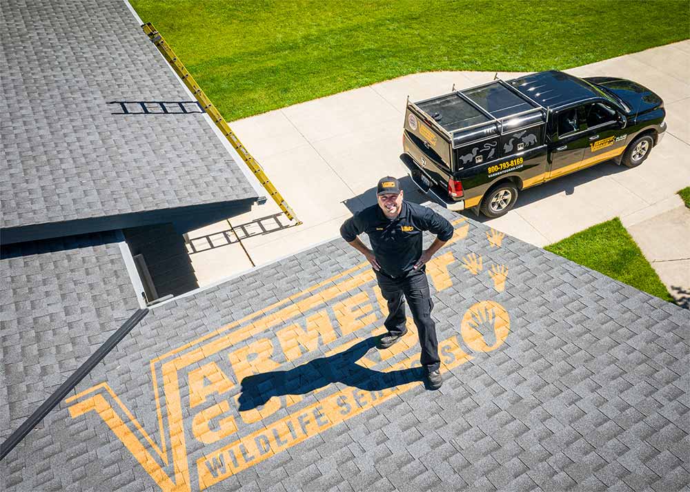 Varment Guard Wildlife Services Image