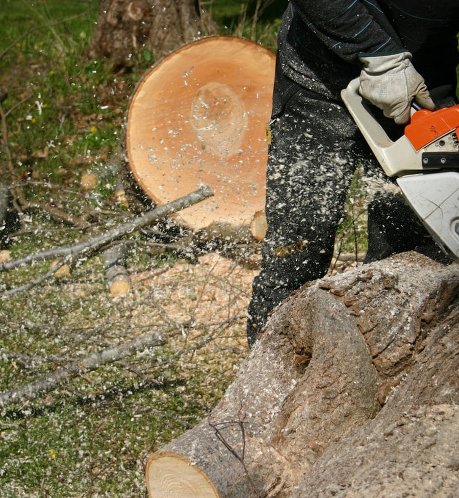 Troy Tree Service Image