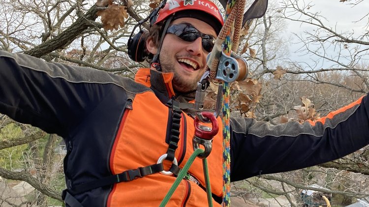 Tree House Arbor Science Image