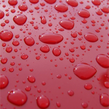 Carters Mobile Detailing LLC Image