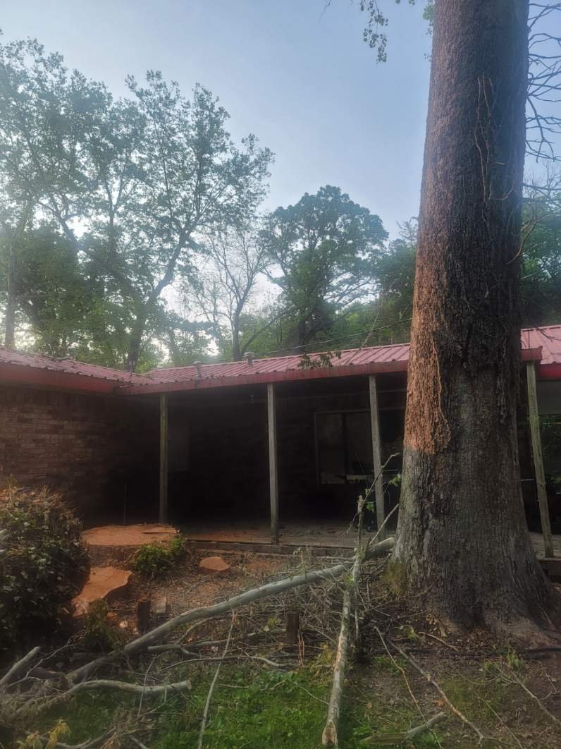 Valdez Tree Service LLC Image