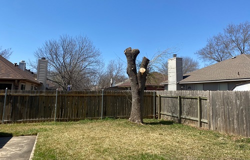 Liberty Tree Service Image