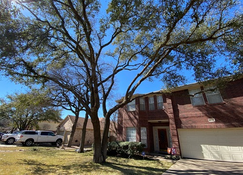 Liberty Tree Service Image