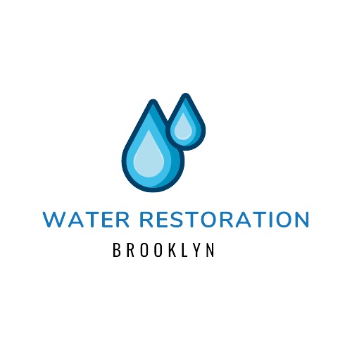 A+ Brooklyn Water Restoration &amp; Damage Cleanup Logo