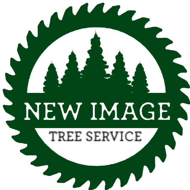New Image Tree Logo