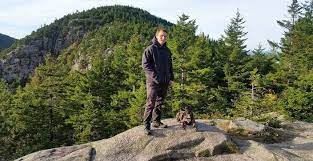 Mike Preis Dog Training Image