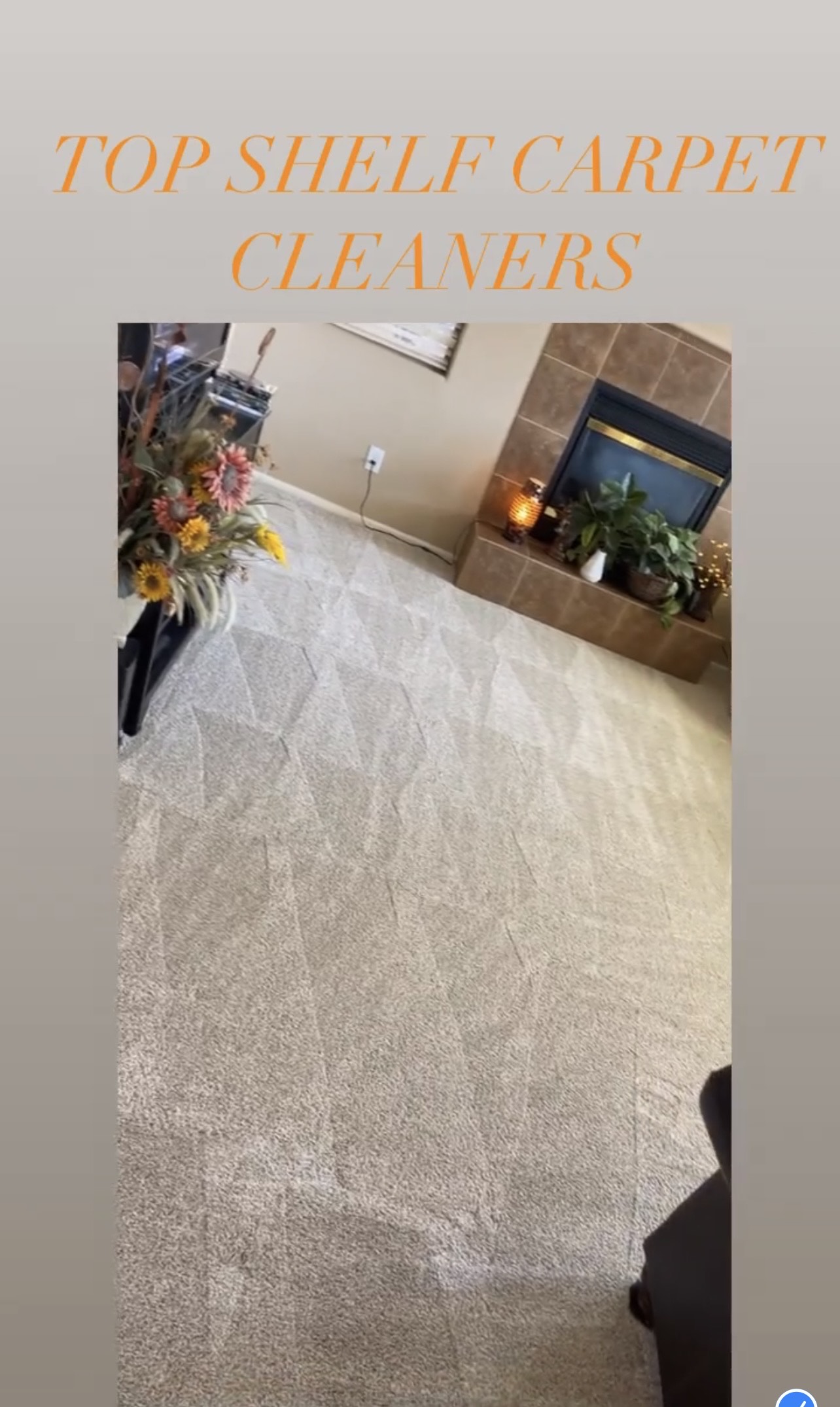 Top Shelf Carpet Cleaners Image