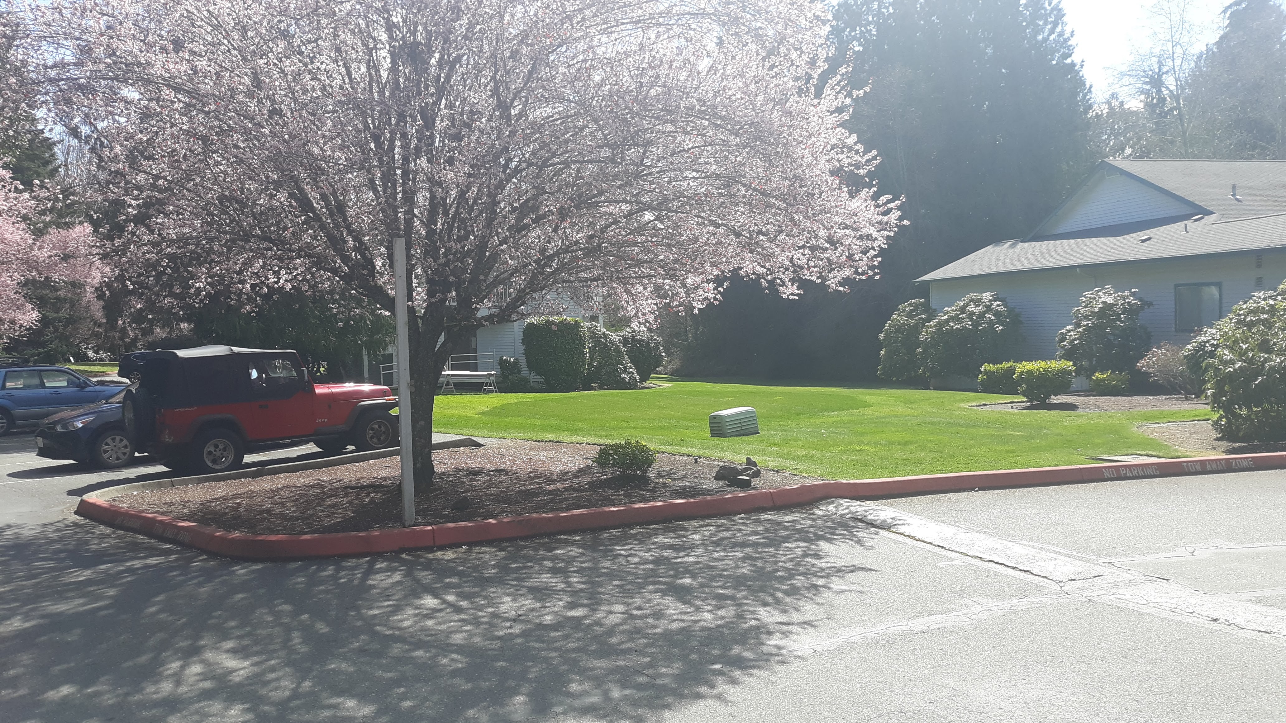 G&M Lawn and Flowerbed Service LLC Image