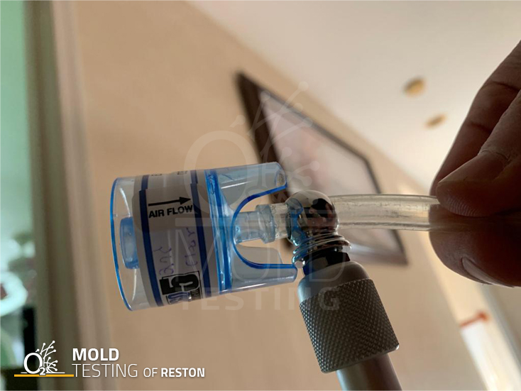 O2 Mold Testing of Reston Image