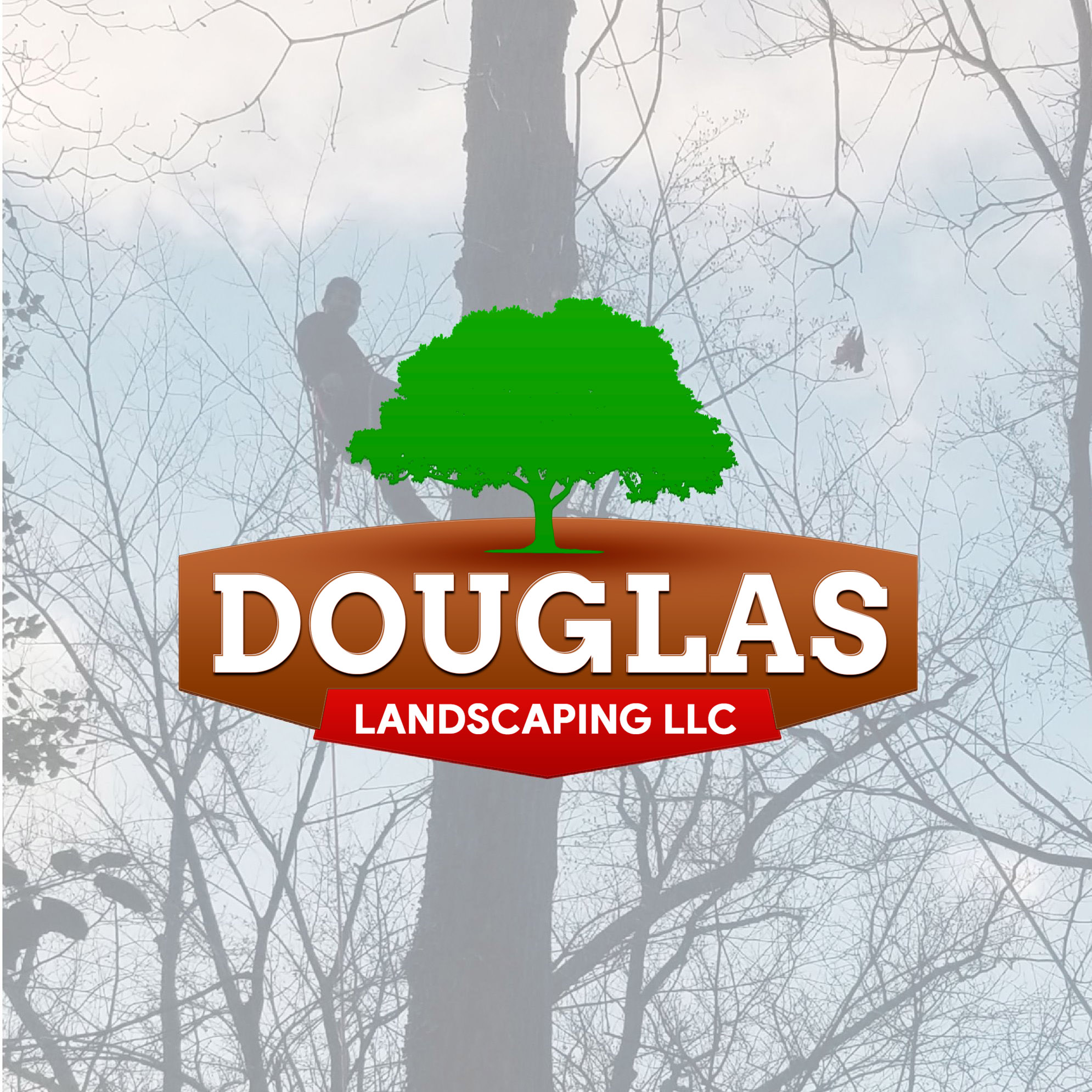 Douglas Landscaping LLC Logo