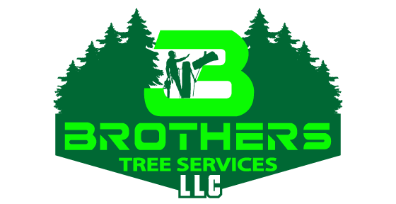 3 Brothers Tree Services LLC Image