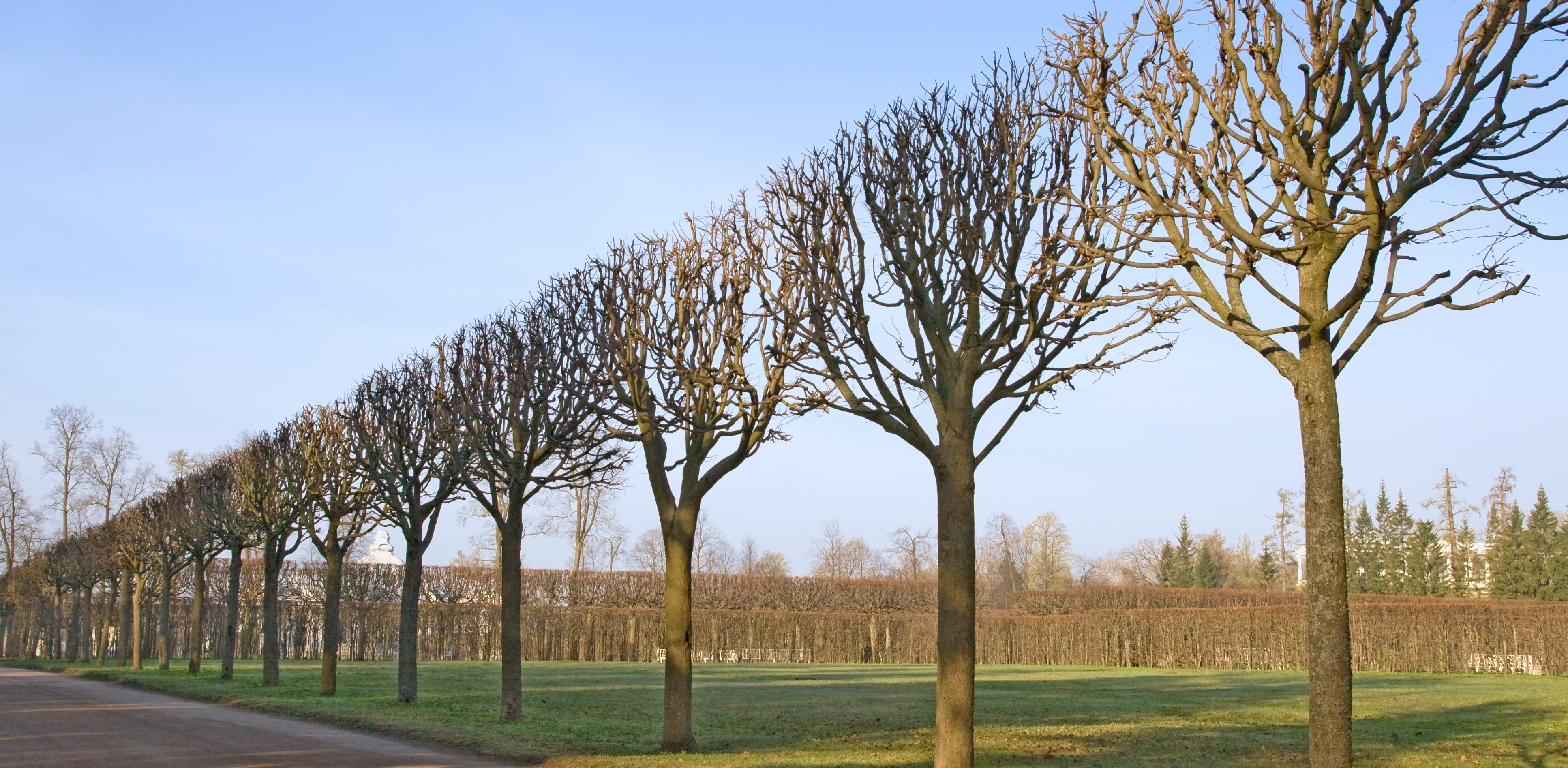 AEK Construction and Landscape LLC Image