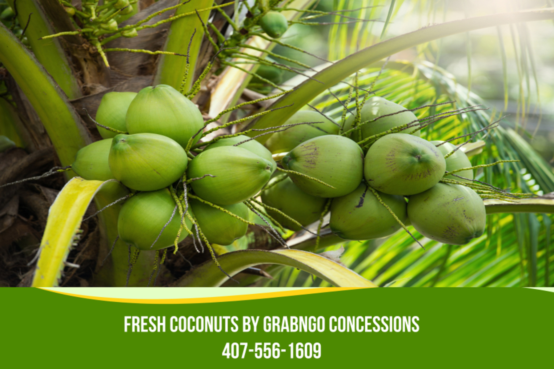 Fresh coconut water made daily or while you wait