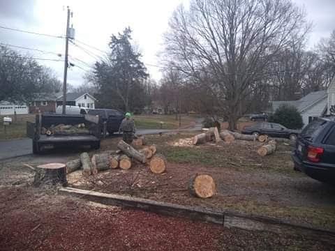 A&M Tree & Landscaping Services Image