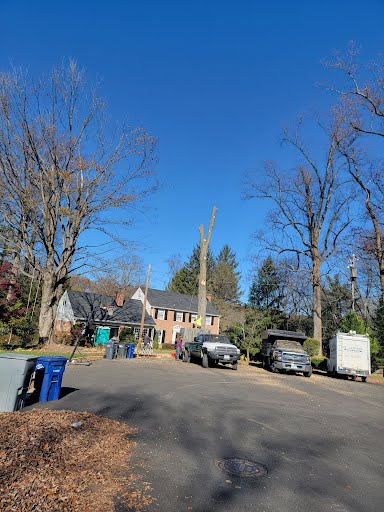 A&M Tree & Landscaping Services Image