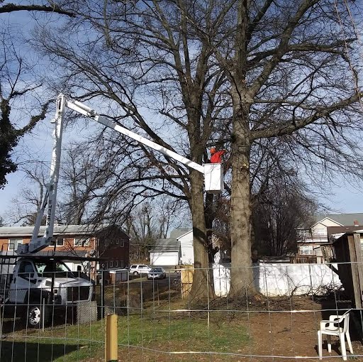 A&M Tree & Landscaping Services Image