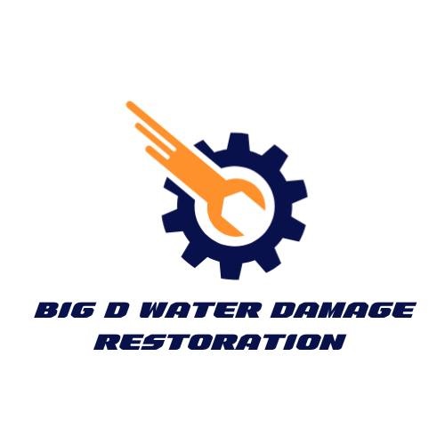 Big D Water Damage Restoration Logo
