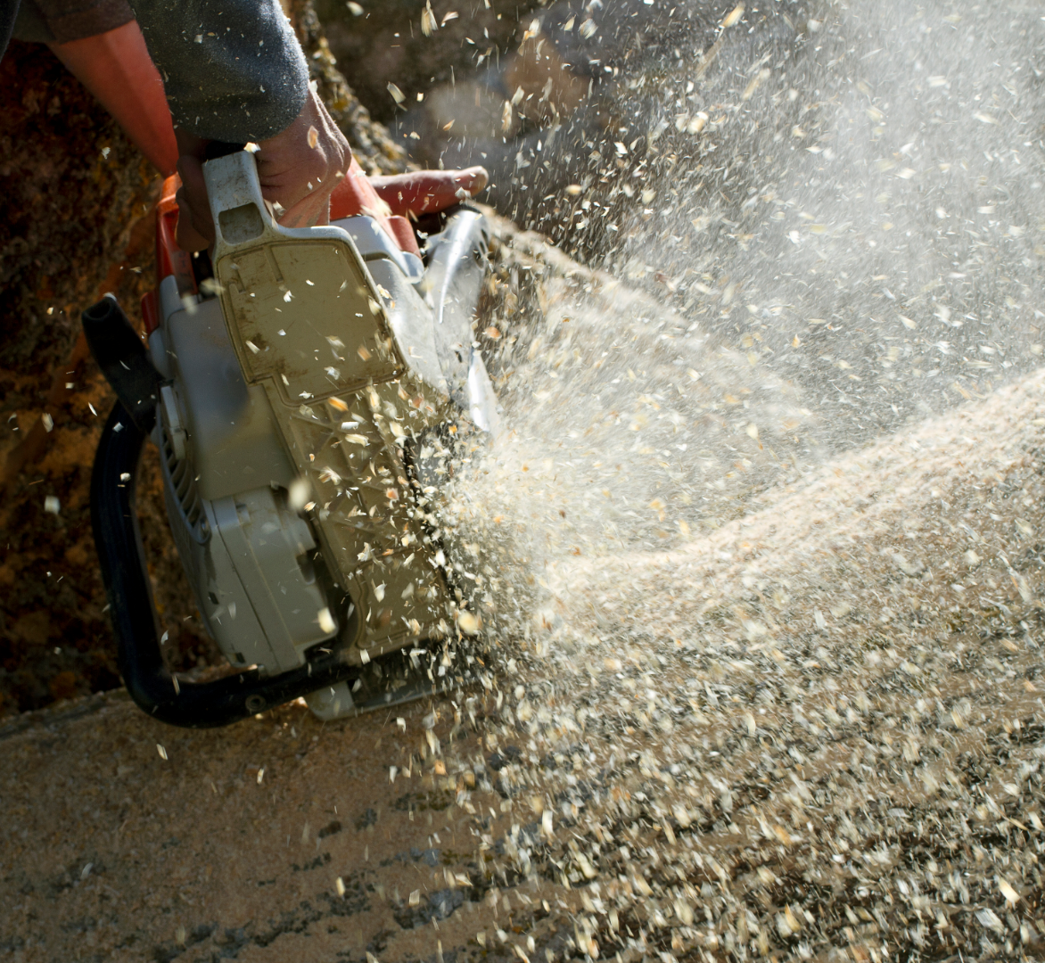 STR Tree Service Image