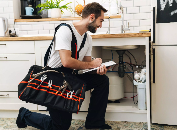 Violet Plumbers Hollywood Image