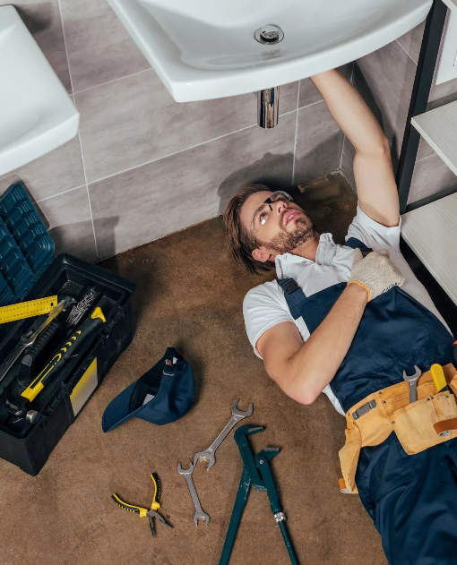 Violet Plumbers Hollywood Image