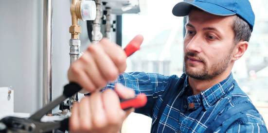 Violet Plumbers Hollywood Image