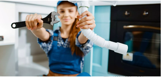 Violet Plumbers Hollywood Image