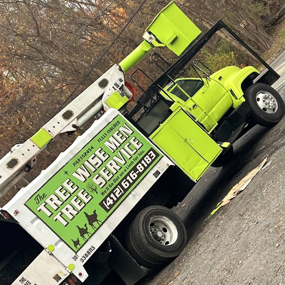 The Tree Wise Men Tree Service Image
