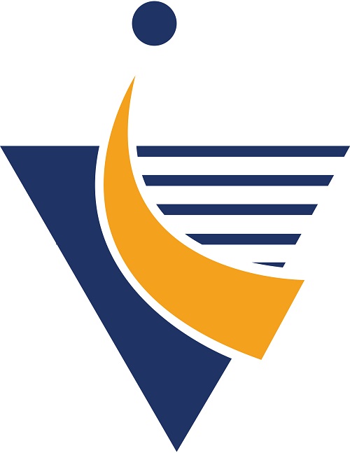IV Computer Logo