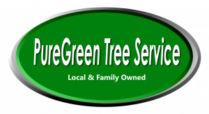 PureGreen Tree Service Logo