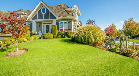 Total Yard LLC Image