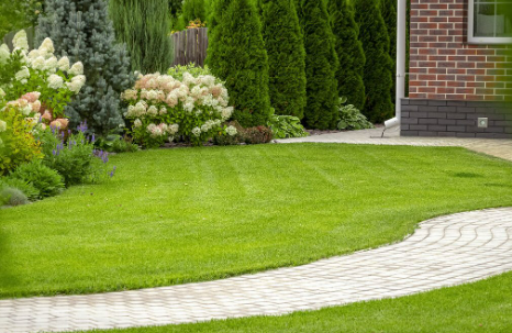 Total Yard LLC Image