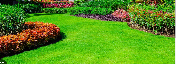 Total Yard LLC Image