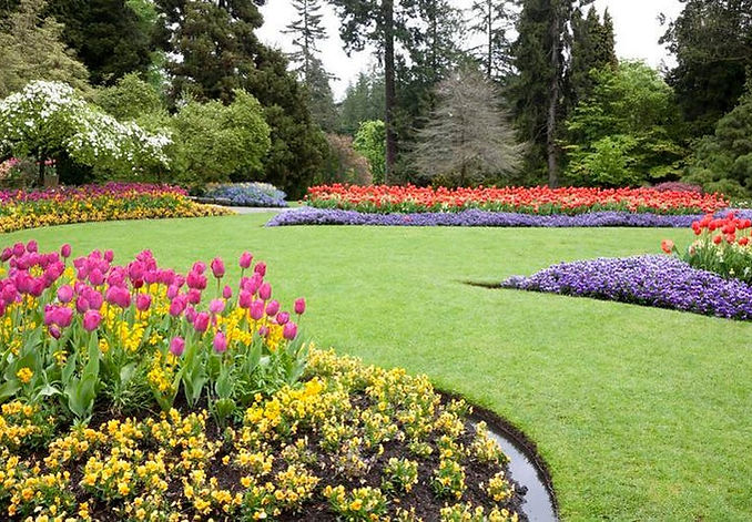 Citrus Landscape Solutions Image